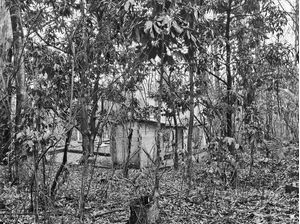 ABANDONO URBANO