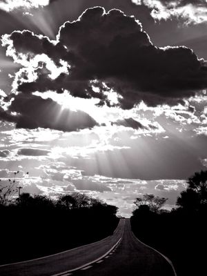 ROAD TO THE LIGHT