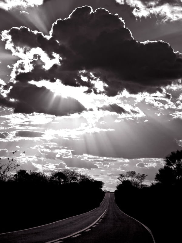 ROAD TO THE LIGHT