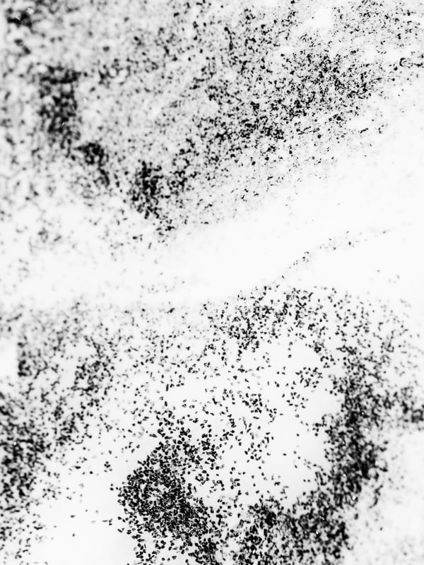 ABSTRACT FLUID II