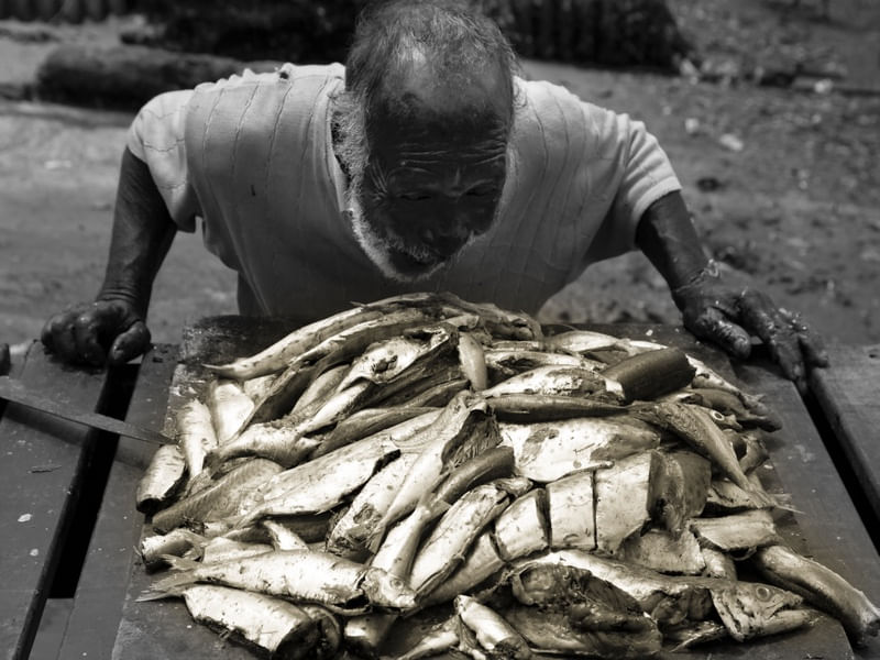PEIXADA