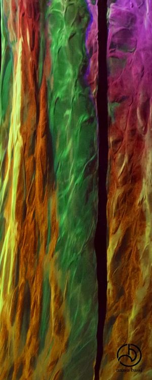 ENTRECROISEMENT
