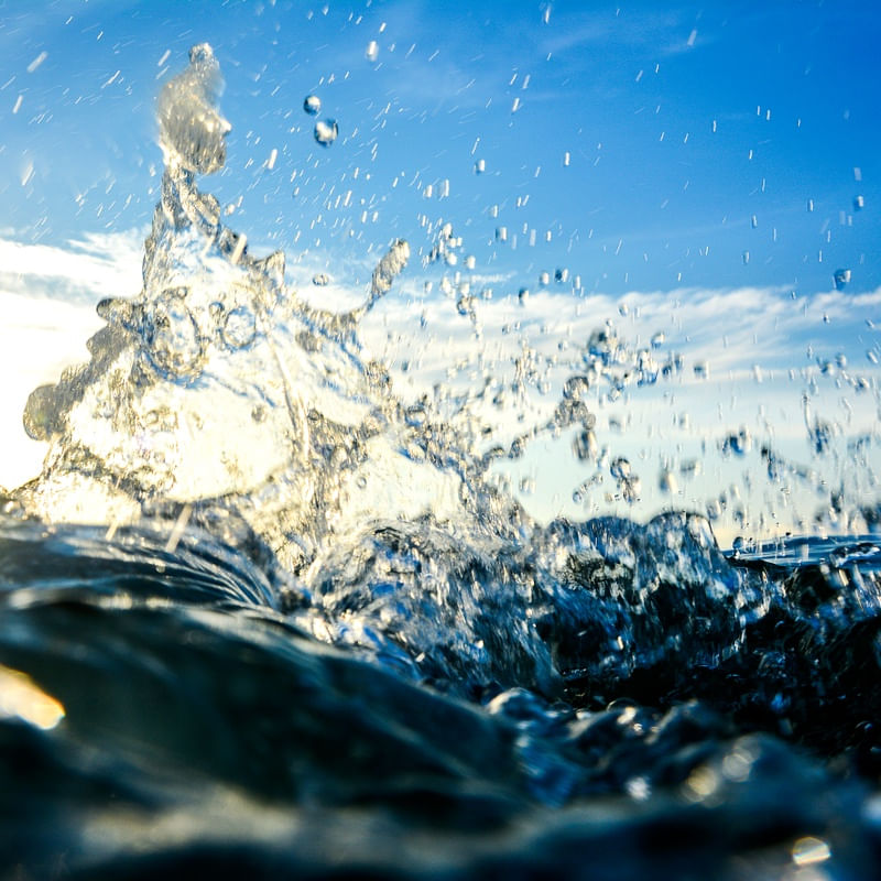 TRIO SPLASH I