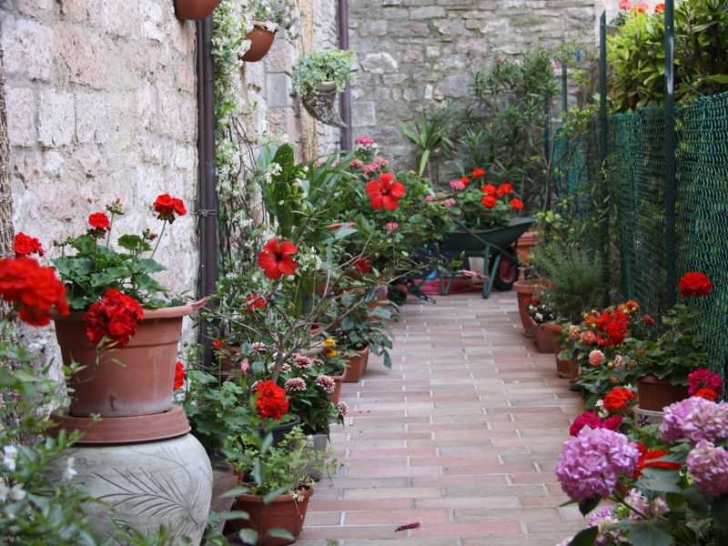 QUADRO JARDIM