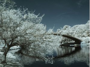 SAPHYRE BRIDGE