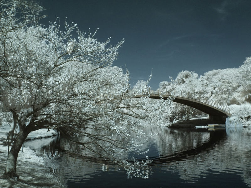 SAPHYRE BRIDGE