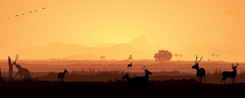 PAISAGEM LARANJA