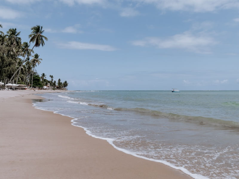 NA BEIRA DO MAR DE ALAGOAS