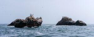 PELICANOS NA ILHAS BALLESTAS - PERU