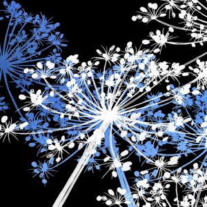 COW'S PARSLEY MULTI 5, AZUL PRETO BRANCO QUADRADO
