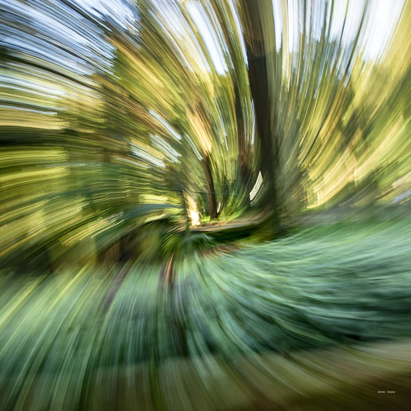 ESPIRAL NO PARQUE - QUADRADA