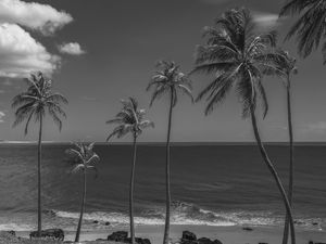 PRAIA DA LAGOINHA_CE_PNW