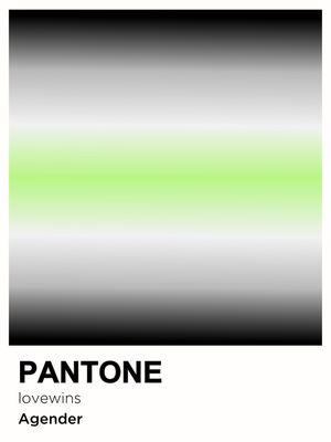 PRIDE AGENDER PANTONE
