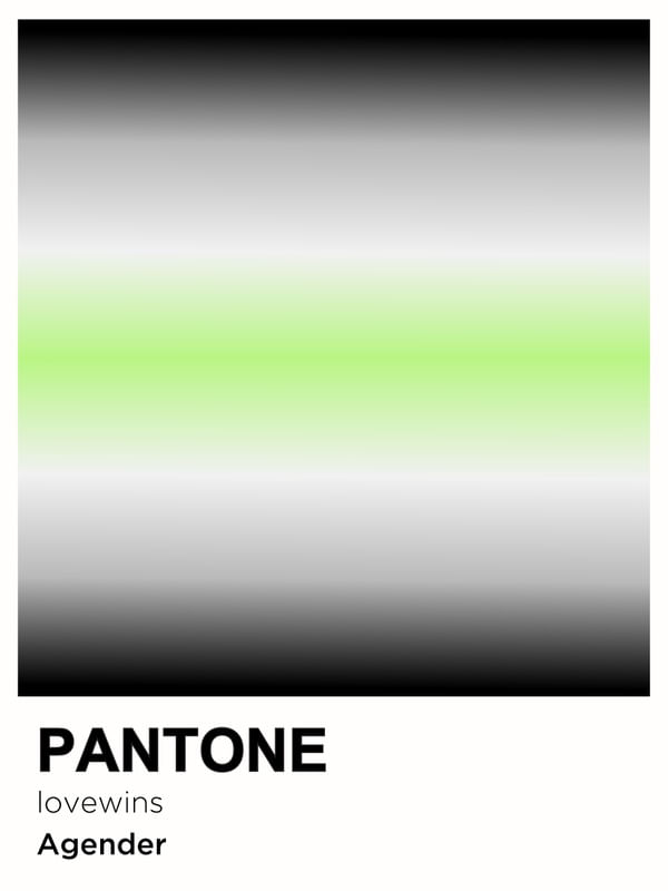 PRIDE AGENDER PANTONE