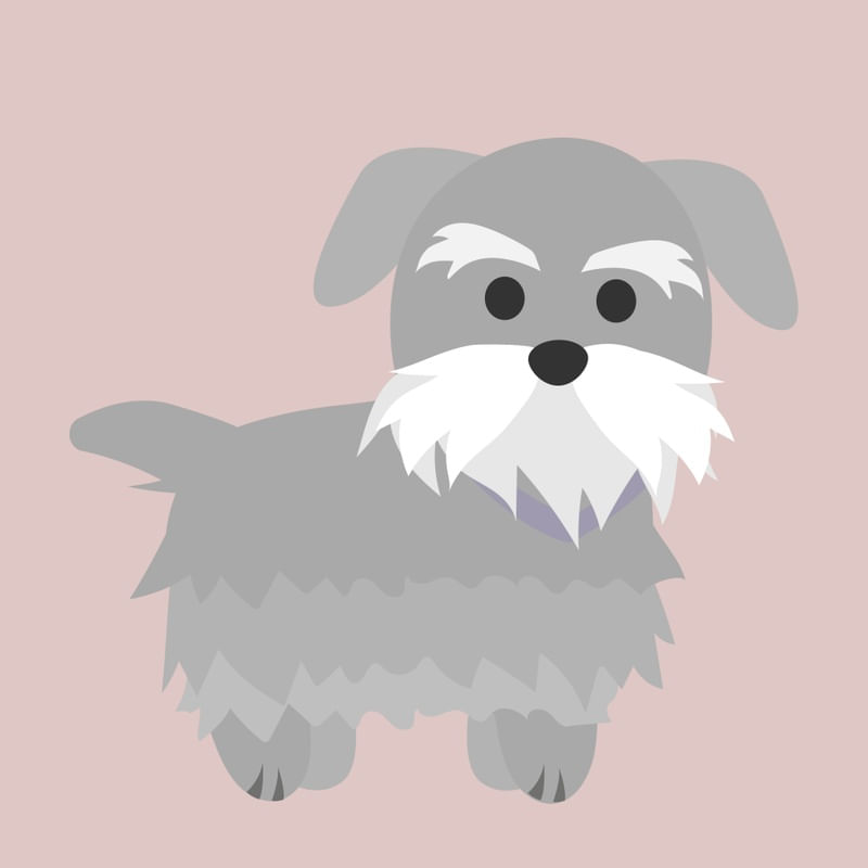 CACHORRINHO BABY 04