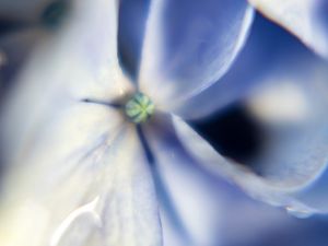 VOLÚPIA - MACRO