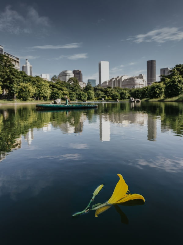 A FLOR DA PRAÇA