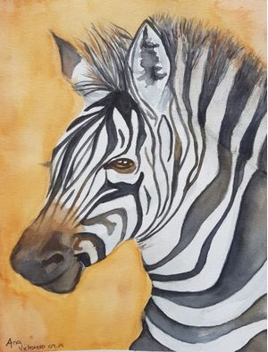 ZEBRA LOOK