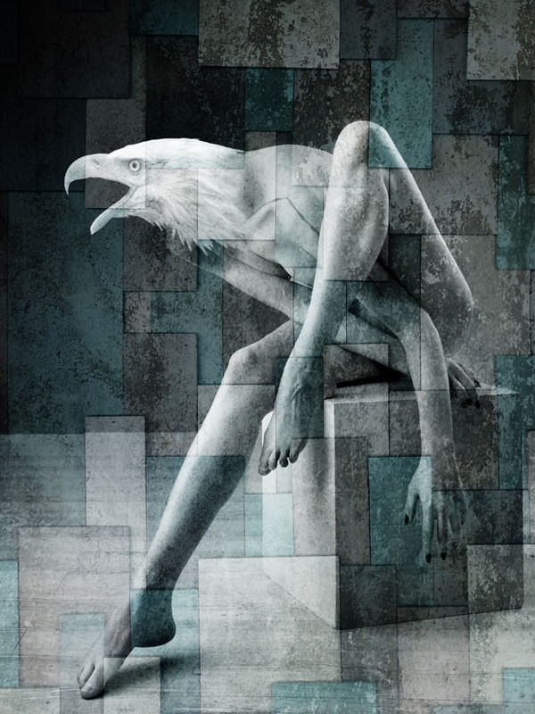 CITY OF BIRDS 74