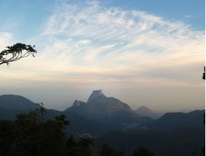 MOUNTAIN KING
