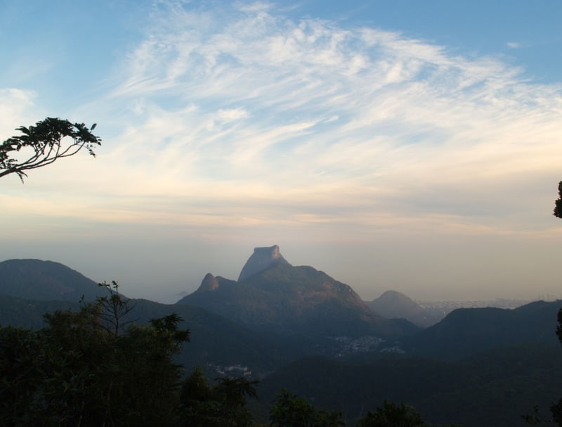 MOUNTAIN KING