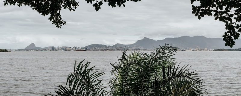 PRAIA DA ICA ENTRE FOLHAS