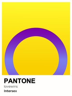 PRIDE INTERSEX PANTONE