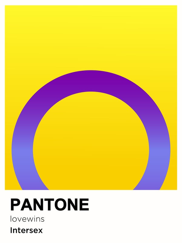 PRIDE INTERSEX PANTONE
