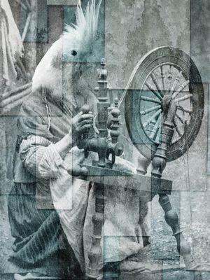 CITY OF BIRDS 65