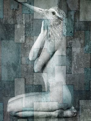 CITY OF BIRDS 70