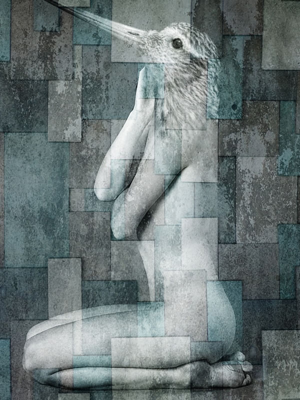 CITY OF BIRDS 70