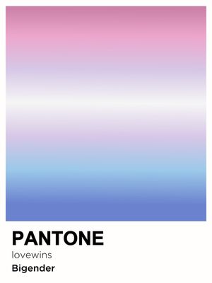 PRIDE BIGENDER PANTONE