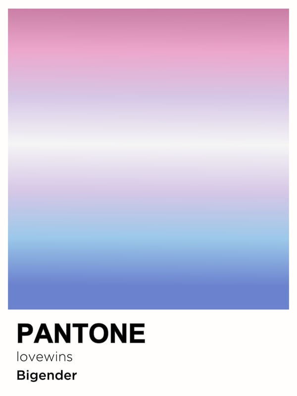 PRIDE BIGENDER PANTONE