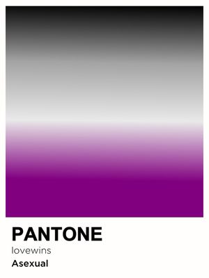 PRIDE ASEXUAL PANTONE