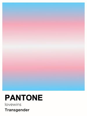 PRIDE TRANSGENDER PANTONE