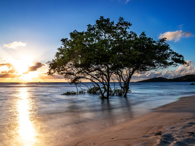 O SOL DA MANHA EM CABO DE SANTO AGOSTINHO