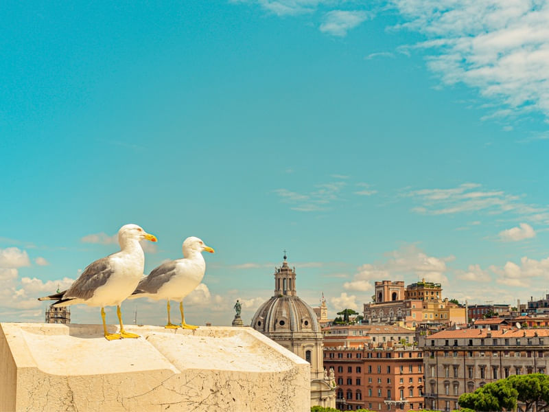 VOAR EM ROMA #1