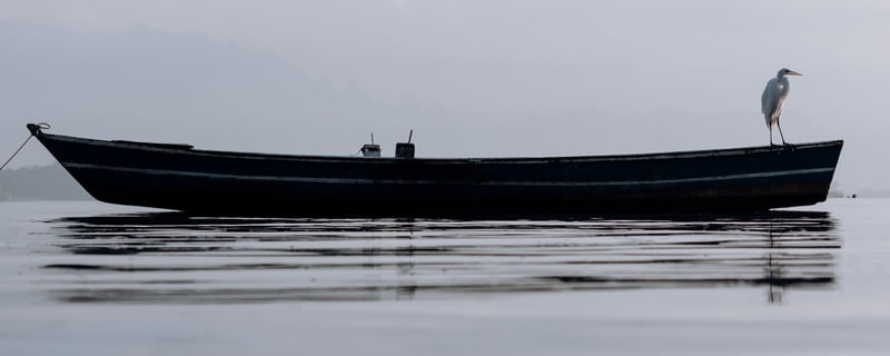 O ULTIMO A ABANDONAR O BARCO