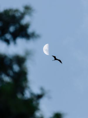 ENTRE A LUA E A IMENSIDAO