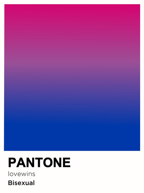 PRIDE BISEXUAL PANTONE