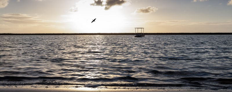 PRAIA DE MURO ALTO PERNAMBUCO
