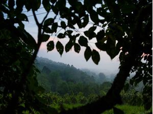 PAISAGEM BUCÓLICA