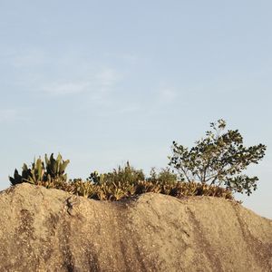 SOL SOBRE PEDRA Q