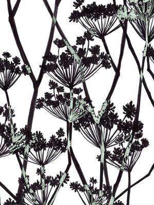 FOOL'S PARSLEY MULTI 2, PRETO E BRANCO FLORAIS SKETCH MINIMALISTA ILUSTRAÇÃO