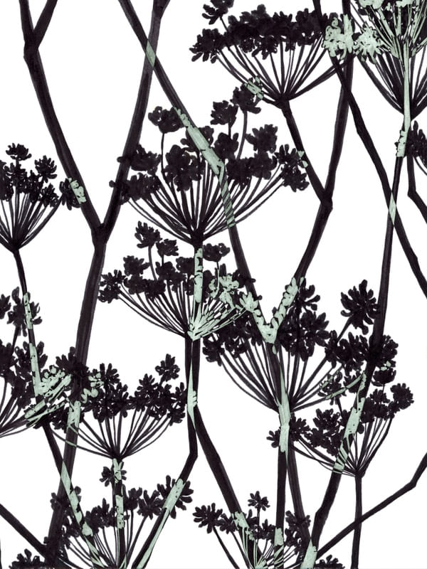 FOOL'S PARSLEY MULTI 2, PRETO E BRANCO FLORAIS SKETCH MINIMALISTA ILUSTRAÇÃO