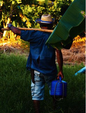 AGRICULTOR