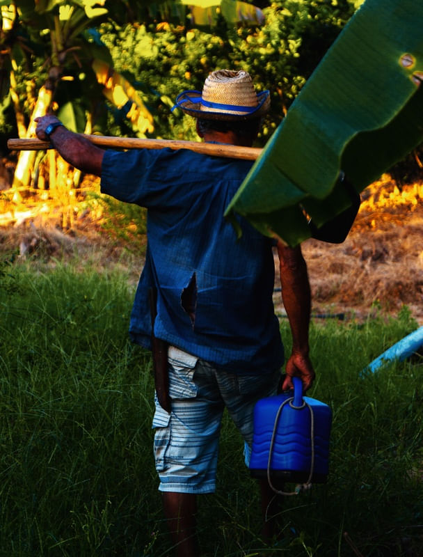 AGRICULTOR