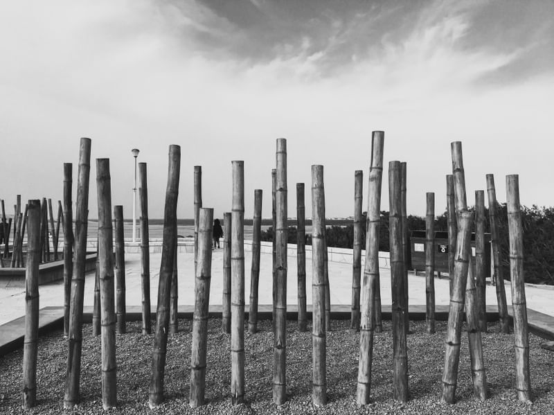 BAMBOOS PARALELOS