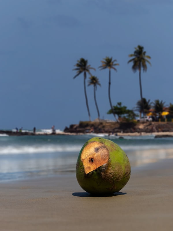 UM PARAÍSO CHAMADO NATAL RN