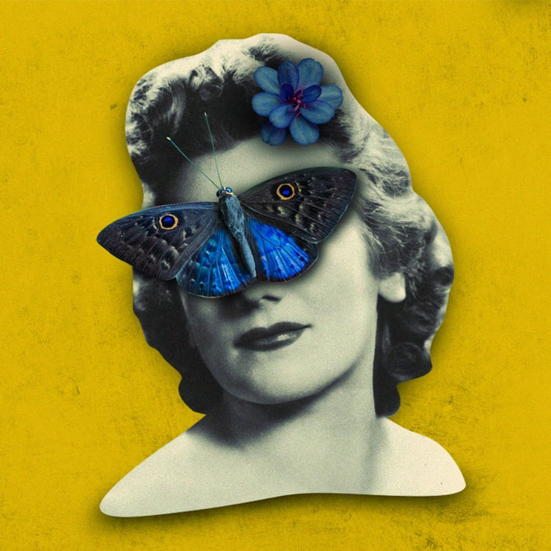 BUTTERFLY EFFECTS